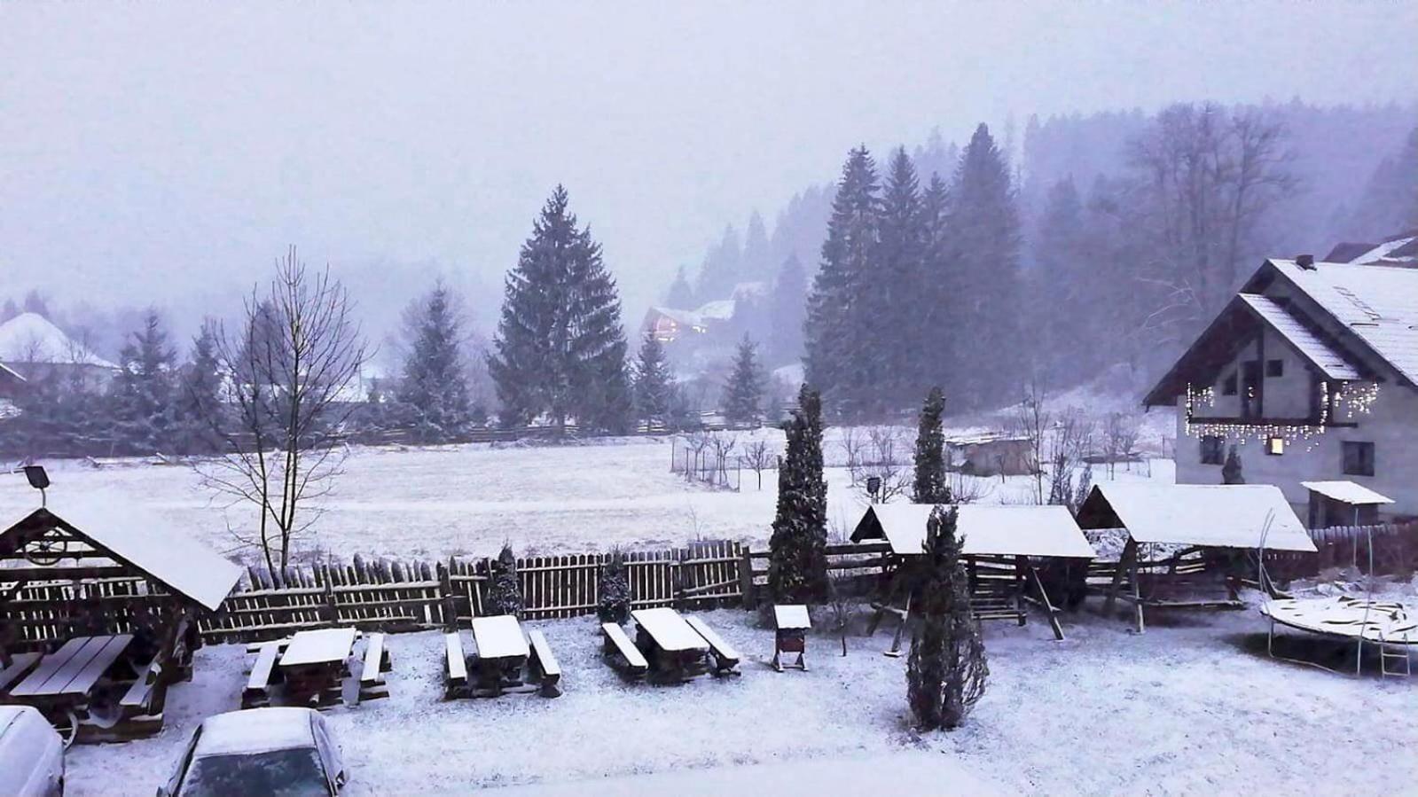Hotel Blumenhof Bucovina Woronetz Exterior foto