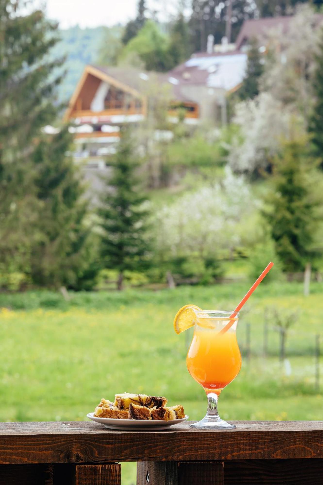 Hotel Blumenhof Bucovina Woronetz Exterior foto
