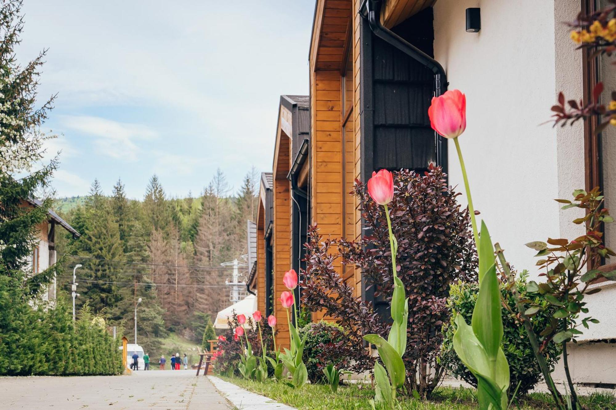 Hotel Blumenhof Bucovina Woronetz Exterior foto
